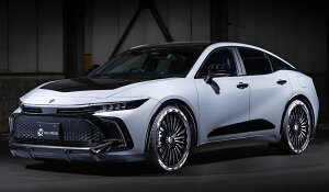 M'z SPEED 2_Lbg J[{ AES NENXI[o[ TZSH35 AZSH35 R4.9` RS/G/X NXC 2951