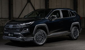 M'z SPEED 3_Lbg ubN AES RAV4 AXAH54 MXAA54 H31.4` Ahx`[ NXC 2991