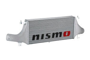 nismo jX C^[N[[ XJCCGT-R BNR32 BCNR33 S