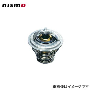 nismo jX [evT[X^bg GNXgC T30 SR20VET `'06/11