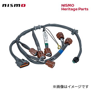 nismo jX n[lX AbZu[, EGI Tu i24079-24U10j XJCCGT-R BCNR33 95/01`