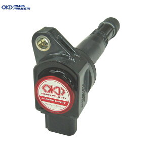 OKADAPROJECTS vY}_CNg 1䕪 VrbNTYPE-R FD2 H19.3- K20A 2000