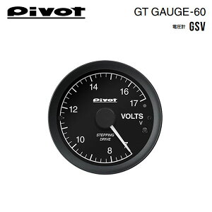 PIVOT s{bg GTQ[W60 ZT[^Cv dv GSV