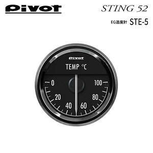 2025N9\ PIVOT s{bg XeBO52 ZT[ GWxv STE-5