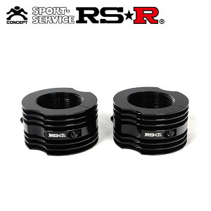RSR �_���p�[�q�[�g�V���N �u���b�N ���a 46�� ���� 31 �����l�W �L DHS4631NB