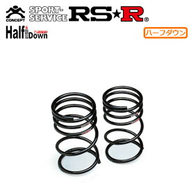 RSR Ti2000 ハーフダウンサス リアのみ キャロル HB97S R4/1〜 FF ハイブリッドGS