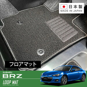 RUGSLAY [v}bg tA}bg 1䕪 BRZ ZC6 H24/03`R03/03