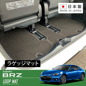 RUGSLAY [v}bg QbW}bg BRZ ZC6 H24/03`R03/03