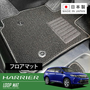 RUGSLAY [v}bg tA}bg 1䕪 nA[nCubh AVU65W H29/06`R02/06 