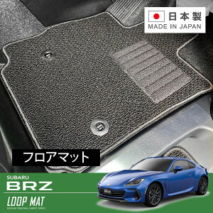 RUGSLAY [v}bg tA}bg 1䕪 BRZ ZD8 R03/08` AT