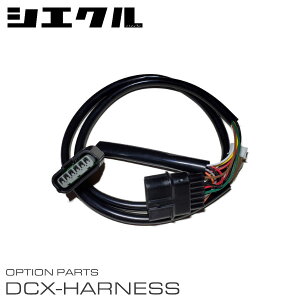 siecle �V�G�N�� �d�q�X���b�g���R���g���[���[��p�n�[�l�X DCX-F1