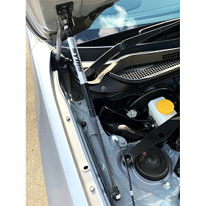 SYMS VX[VO {lbg_p[ BRZ ZD8 lzs E͗vmF