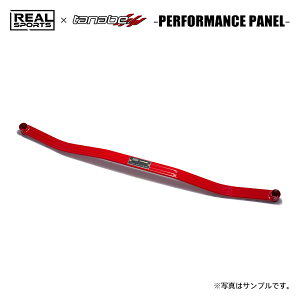 REAL SPORTS×tanabe ���A���X�|�[�c×�^�i�x �p�t�H�[�}���X�u���[�X ���A�p �V�r�b�N FL1 R6.9�` L15C TB FF RS