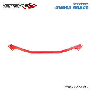 tanabe �^�i�x �T�X�e�b�N �A���_�[�u���[�X ���A�p 2�_�~�� �t�F�A���f�BZ RZ34 R4.8�` VR30DDTT TB FR 6MT