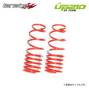 tanabe ^ix fBoCh UP210 AbvTX Â Ag[S S321G H19.9`H29.10 KF-DET TB FF