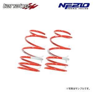 tanabe ^ix TXebN NF210 _ETX Â nC[bgJ[S S710V R3.12` KF NA 4WD