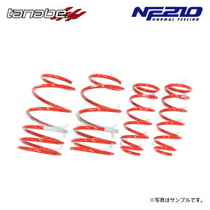 tanabe �^�i�x �T�X�e�b�N NF210 �_�E���T�X 1�䕪 �s�N�V�X�o�� S700M R6.11�` KF NA FR