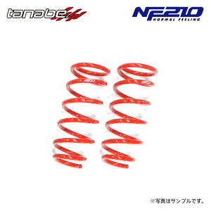 tanabe ^ix TXebN NF210 _ETX tĝ nC[bgJ[S S710V R3.12` KF NA 4WD