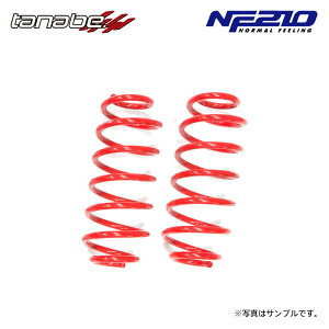 tanabe タナベ サステック NF210 ダウンサス リアのみ フィット GE6 H22.10〜H25.8 L13A NA FF