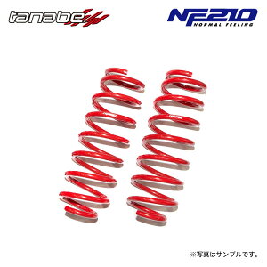 tanabe タナベ サステック NF210 ダウンサス リアのみ ムーヴ L150S H14.10〜H18.10 EF-DET TB FF