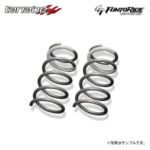 tanabe ^ix GT t@gCh XvO Â tFAfBZ RZ34 R4.8` VR30DDTT TB FR