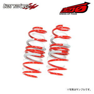 tanabe ^ix TXebN DF210 _ETX Â tBbg GE6 H19.10`H22.10 L13A NA FF