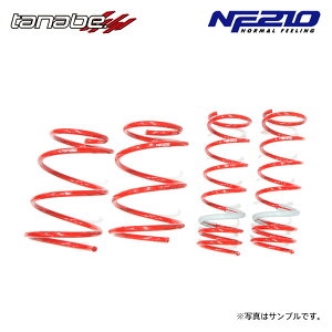 tanabe �^�i�x �T�X�e�b�N NF210 �_�E���T�X 1�䕪 �C���v���b�TG4 GJ2 H23.12�`H28.10 FB16 NA FF