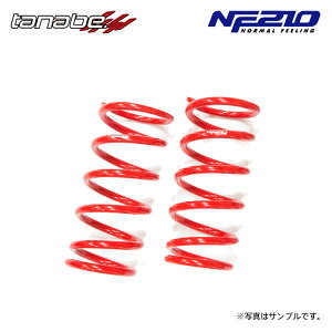 tanabe �^�i�x �T�X�e�b�N NF210 �_�E���T�X �t�����g�̂� ���N�T�X IS250 GSE20 H17.9�`H25.8 4GR-FSE NA FR �o�[�W����L