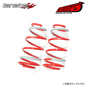 tanabe ^ix TXebN DF210 _ETX tĝ Bbc SCP90 H17.2`H19.8 2SZ-FE NA FF