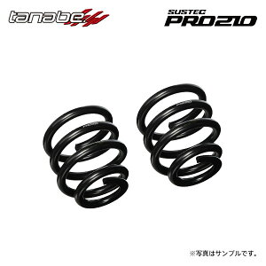 tanabe ^ix TXebN PRO210 ԍLbgpXvO otH(^^) 2{Zbg a 65mm R 180mm [g 4.0kgf/mm