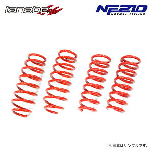 tanabe ^ix TXebN NF210 _ETX 1䕪 XJCC V36 H18.11`H26.4 VQ25HR NA FR