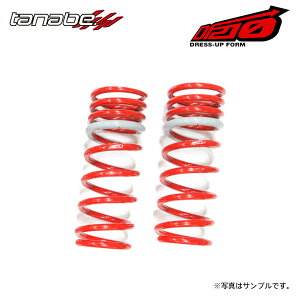 tanabe �^�i�x �T�X�e�b�N DF210 �_�E���T�X �t�����g�̂� ���N�T�X GS350 GRS191 H17.8�`H24.1 2GR-FSE NA FR