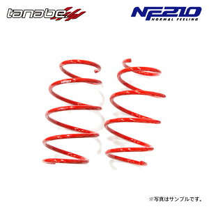 tanabe ^ix TXebN NF210 _ETX tĝ NTX CT200h ZWA10 H23.1`H25.12 2ZR-FXE NA FF