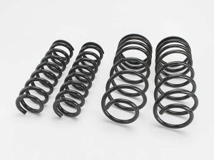 TGS X-Fang tgAbvXvO F2.5/R2.0C` hN[U[250 3DA-GDJ250W