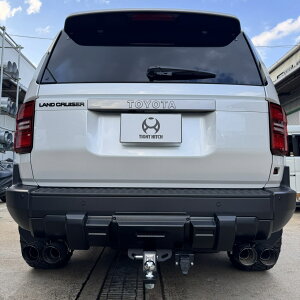 ^CgWp qb`o[ XeX^CvI hN[U[250 3DA-GDJ250W Mfz speed CROSS LINE