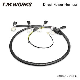 T.M.WORKS ダイレクトパワーハーネスキット マーチ BK12 BNK12 CR14DE H14.3〜