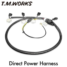 T.M.WORKS ダイレクト・パワーハーネスキット バモス HM1 HM2 HM3 HM4 E07Z 1999/06〜