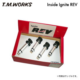 T.M.WORKS インサイドイグナイトレブ アクセラ BM5AP H25.11〜 P5-VPS