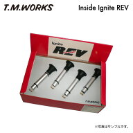 T.M.WORKS インサイドイグナイトレブ デミオ DE5FS H19.7〜 ZY-VE