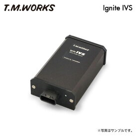 T.M.WORKS イグナイトIVS SX4 YA41S YB41S J20A H18.7〜