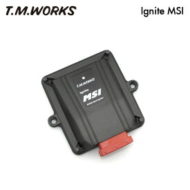 T.M.WORKS イグナイトMSI BMW 5/6シリーズ (F10/F11/F12/F13/F06) N55 535i/640i