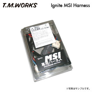T.M.WORKS COiCgMSIpn[lX MS1014