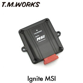 T.M.WORKS イグナイトMSI ティーダ C11 CN11 SC11 SCN11 HR15DE 2004/09〜