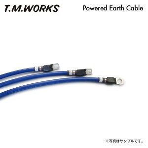 T.M.WORKS p[hA[XP[u NX^ JZX81 1JZ-GE