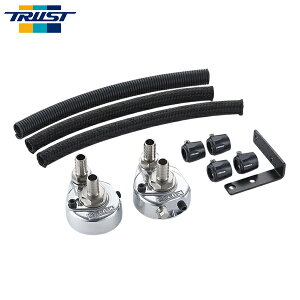TRUST gXg GReddy ICGgړLbg }[NIIn JZX100 1996N09`2000N12 1JZ-GTE