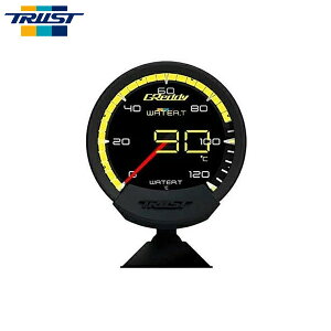 TRUST gXg GReddy sirius VEXjt@C v