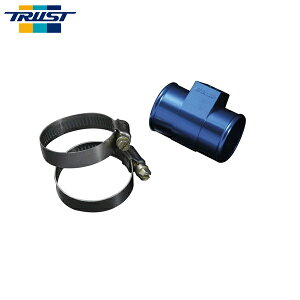 TRUST gXg WG^[z[XA^b`g(ZT[tp)32 bB NCP31 2000N02`2003N04