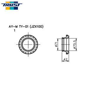 TRUST �g���X�g �G�A�C���N�X B�^�C�v �G�A�t���A�_�v�^�[ TY-01 �}�[�NII JZX100 1996�N09���`2000�N10�� 1JZ-GTE VVT-i