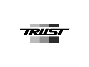 TRUST �g���X�g GReddy �^�[�{�`���[�W���[ T78 33D 17.0cm2 �l��z���s�� ����E�����͗v�m�F