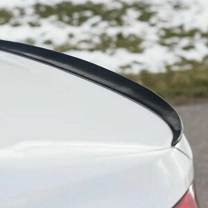 BMW 3V[YZ_(F30) MX^C J[{t@Co[ gNX|C[yECS Tuningz